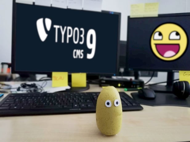 TYPO3 Version 9 PC mit Stresskartoffel